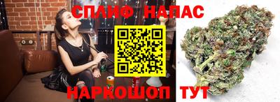 гашик Партизанск