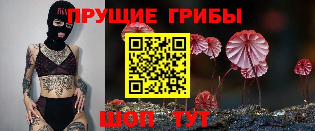 Псилоцибиновые грибы GOLDEN TEACHER Тамбов
